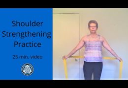 Shoulder Strengthening Practice June 7th 2020