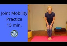 Joint mobility practice